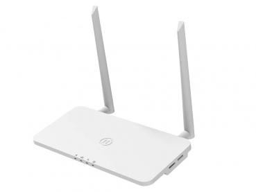 DTU-Pro - WLAN Kontrolleinheit für Hoymiles Wechselrichter der Serien HM und MI